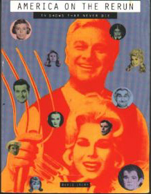 America on the Rerun by David Story