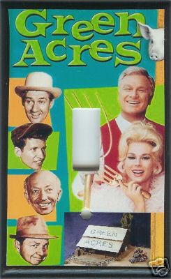 A Cool Lightswitch Cover