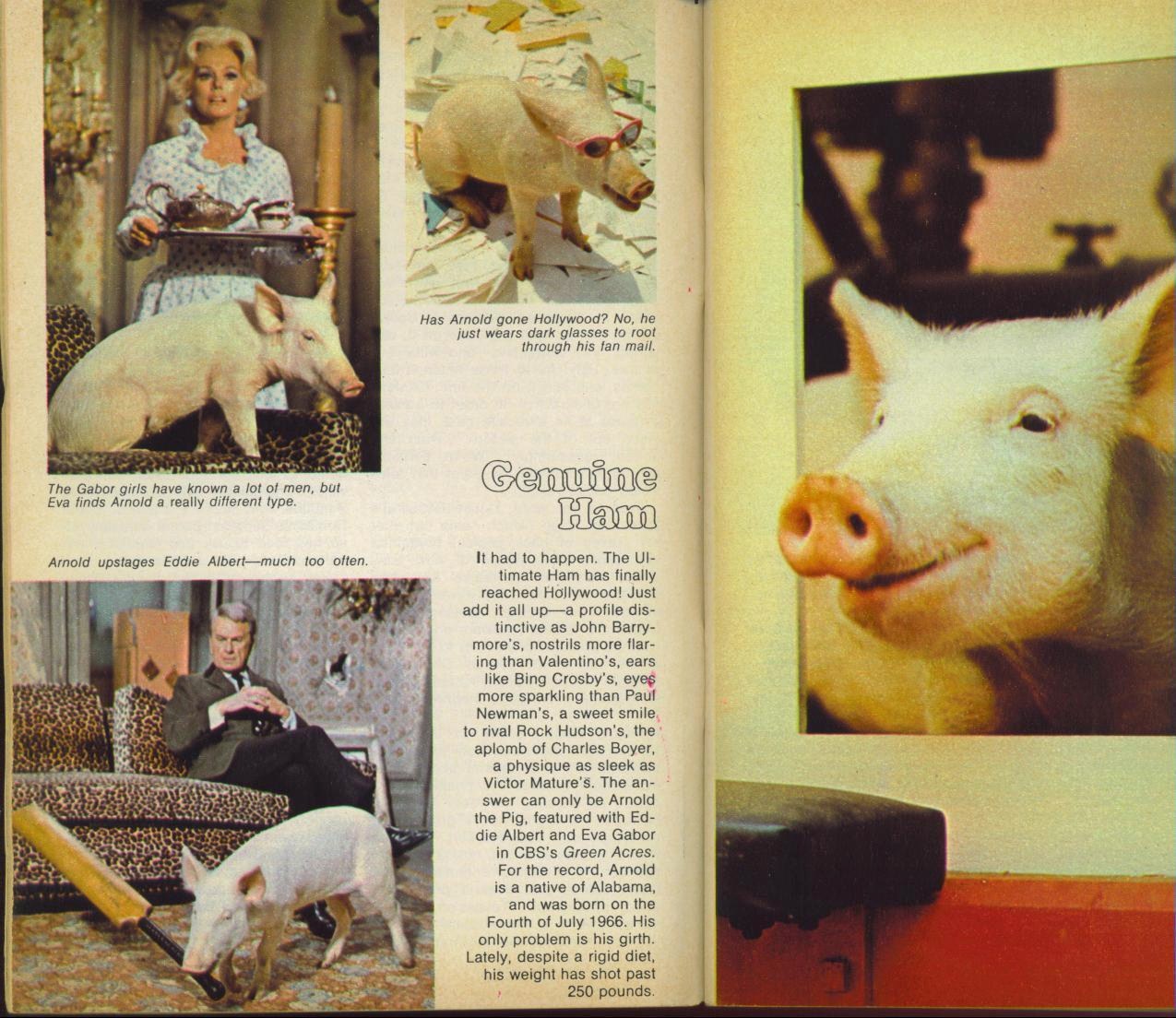 A fun article about Arnold Ziffel from TV Guide.