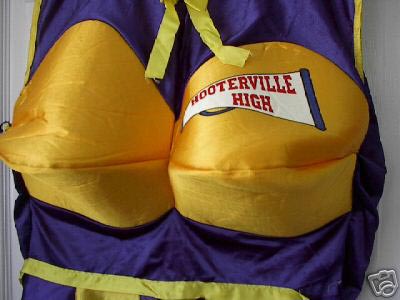 A Hooterville High Cheerleader Halloween Costume